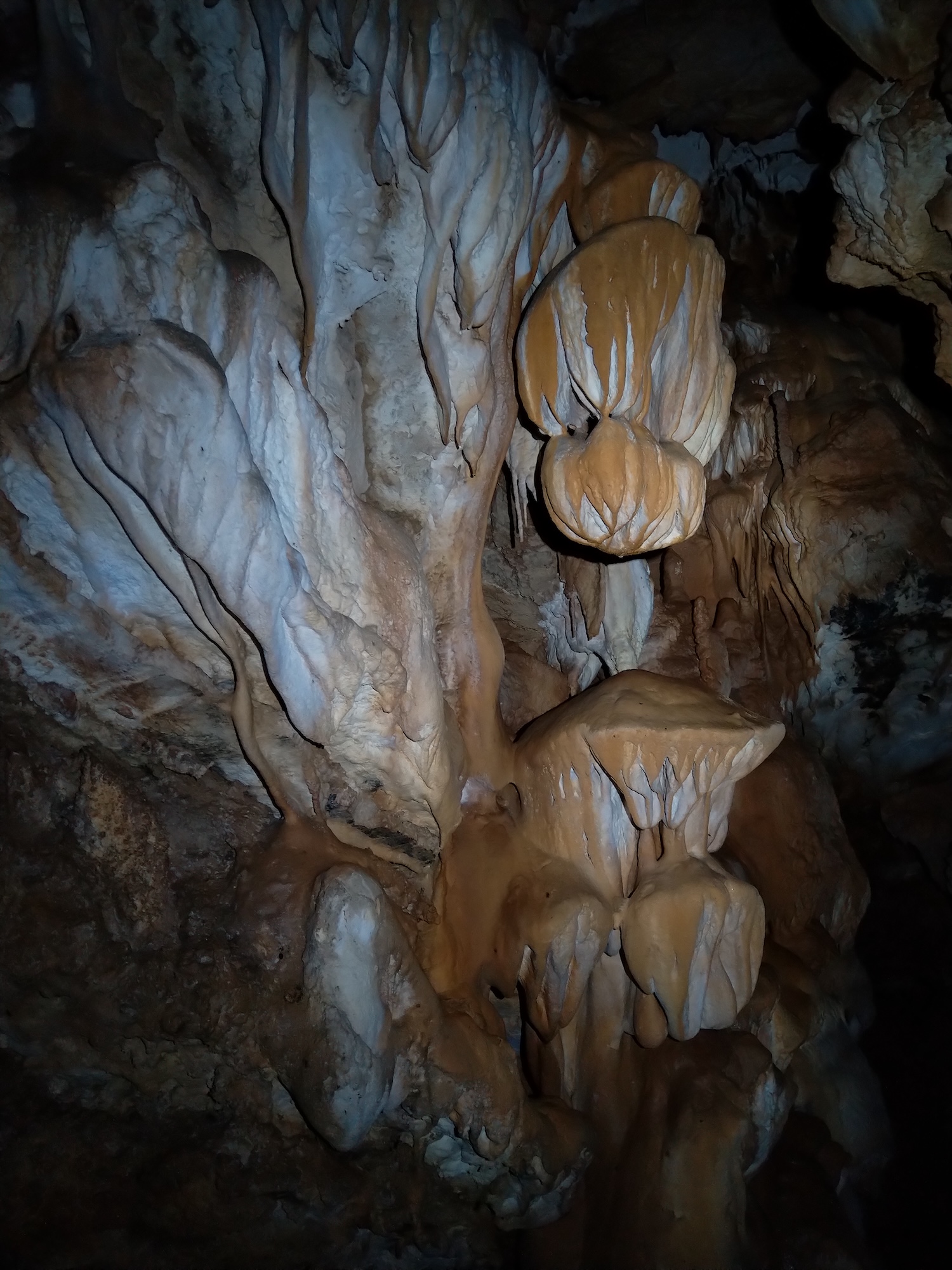 Peștera Nr.8 din Valea Toplița (Avenul Salamandrei) - Image 7